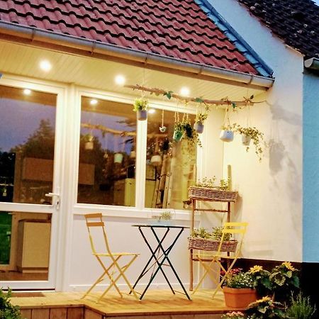 Le Cottage Du Marais. Houlle Экстерьер фото